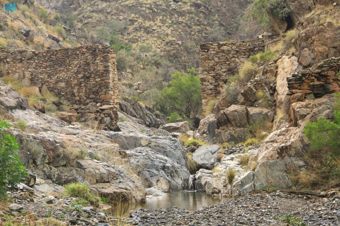 You are currently viewing “الجِّلال”.. واحة الجمال بين أحضان الطبيعة