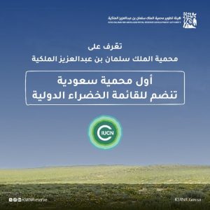 Read more about the article محمية الملك سلمان أول محمية سعودية تنضم للقائمة الخضراء الدولية