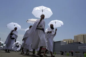 Read more about the article 120 عملية قسطرة و11 قلب مفتوح للحجاج