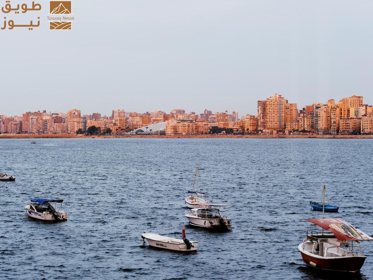 Read more about the article معرض سنوهيتا: “الناس ومكتبة الإسكندرية” يحطّ رحاله في أبوظبي يوم 16 مايو