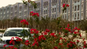 Read more about the article “PWC”: فرص بقيمة 38 مليار دولار في قطاع العقارات المستدامة بالسعودية