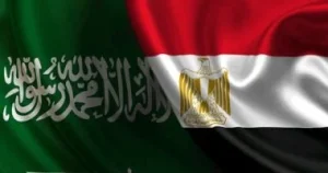 Read more about the article أستاذ قانون دولي: السعودية ومصر ركيزتا الأمن العربي منذ أكتوبر 73 وحتى اليوم