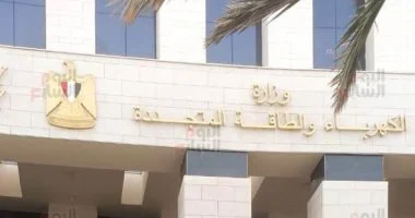 Read more about the article إطلاق التيار الكهربائى بخط الربط بين مصر والسعودية ديسمبر المقبل بقدرة 1500 ميجا وات