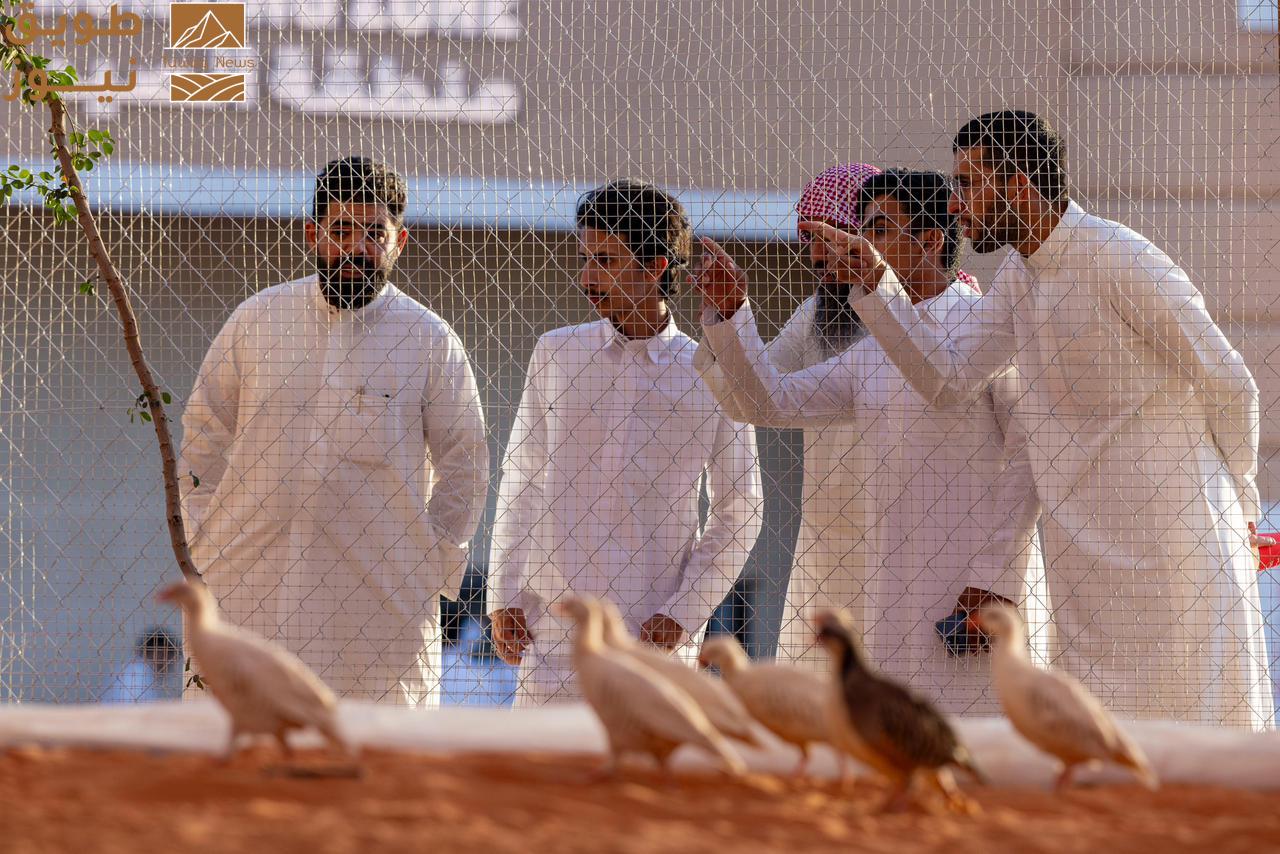 Read more about the article معرض الصقور والصيد السعودي الدولي 2025 يقدّم “السفاري”