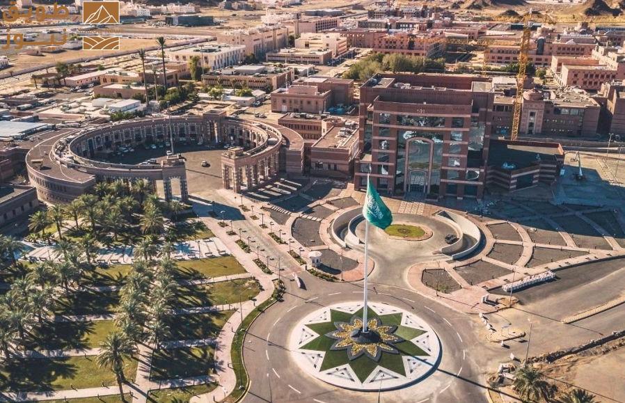 You are currently viewing بالذهب والنانو.. ابتكار سعودي يعزل الخلايا المصابة ويكشف الفيروسات