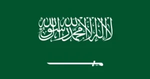 Read more about the article فى مؤشر لـ(الإسكوا).. السعودية الأولى إقليميًا في الخدمات الحكومية الرقمية